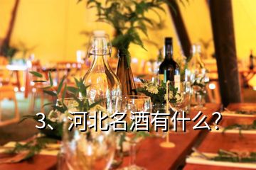 3、河北名酒有什么？