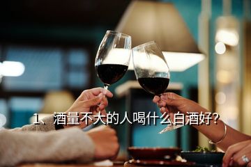 1、酒量不大的人喝什么白酒好？