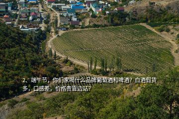 2、端午節(jié)，你們家喝什么品牌葡萄酒和啤酒？白酒假貨多，口感差，價格貴靠邊站？