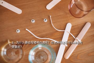 2、為什么要給母豬喝白酒呢？白酒對母豬有什么神奇的效果呢？