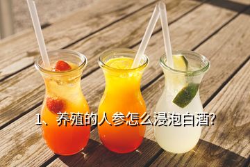 1、養(yǎng)殖的人參怎么浸泡白酒？