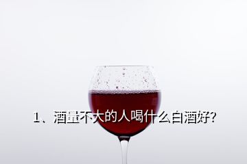 1、酒量不大的人喝什么白酒好？