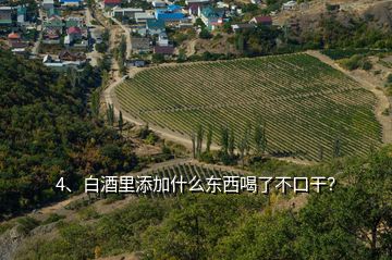 4、白酒里添加什么東西喝了不口干？