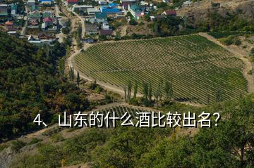 4、山東的什么酒比較出名？