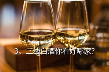 3、二線白酒你看好哪家？