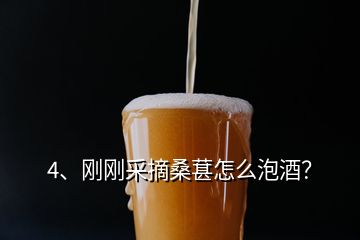 4、剛剛采摘桑葚怎么泡酒？