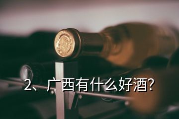 2、廣西有什么好酒？