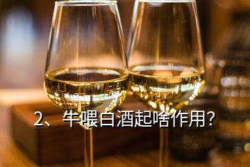 2、牛喂白酒起啥作用？