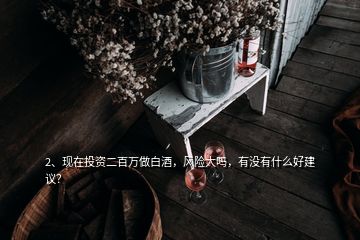 2、現(xiàn)在投資二百萬做白酒，風險大嗎，有沒有什么好建議？