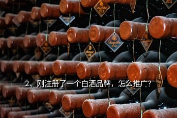 2、剛注冊了一個(gè)白酒品牌，怎么推廣？