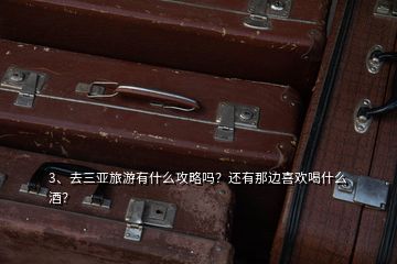 3、去三亞旅游有什么攻略嗎？還有那邊喜歡喝什么酒？