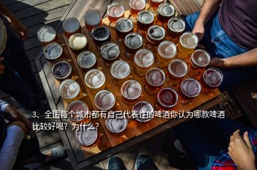 3、全國每個城市都有自己代表性的啤酒你認(rèn)為哪款啤酒比較好喝？為什么？