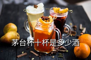 茅臺(tái)杯十杯是多少酒