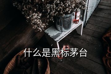 什么是黑標(biāo)茅臺(tái)