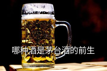 哪種酒是茅臺(tái)酒的前生