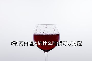 喝5兩白酒大約什么時(shí)候可以清醒