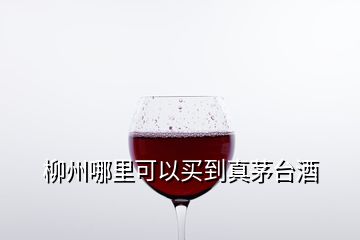 柳州哪里可以買到真茅臺(tái)酒