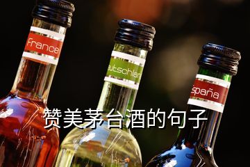 贊美茅臺(tái)酒的句子