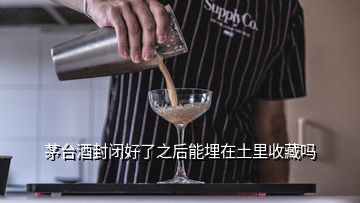 茅臺(tái)酒封閉好了之后能埋在土里收藏嗎