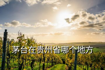 茅臺在貴州省哪個地方