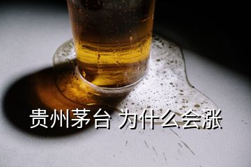 貴州茅臺 為什么會漲