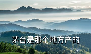 茅臺(tái)是那個(gè)地方產(chǎn)的