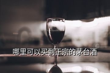 哪里可以買到正宗的茅臺酒