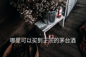 哪里可以買到正宗的茅臺酒