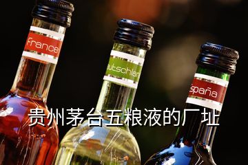 貴州茅臺(tái)五糧液的廠址