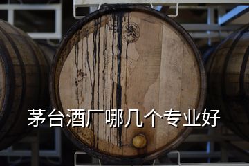 茅臺酒廠哪幾個專業(yè)好