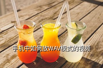 手機(jī)中如何放WAV模式的視頻