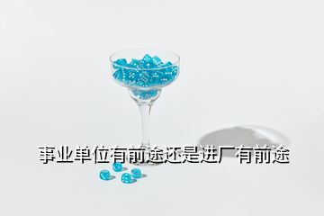 事業(yè)單位有前途還是進(jìn)廠(chǎng)有前途