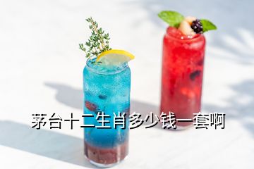 茅臺(tái)十二生肖多少錢一套啊