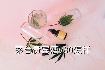 茅臺(tái)貴賓酒v80怎樣