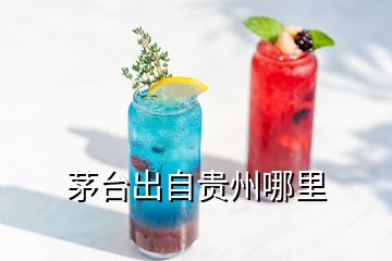 茅臺出自貴州哪里