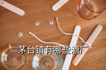 茅臺(tái)鎮(zhèn)有哪些酒廠