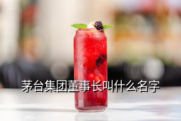 茅臺集團董事長叫什么名字