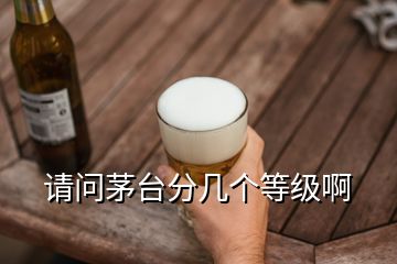 請(qǐng)問茅臺(tái)分幾個(gè)等級(jí)啊