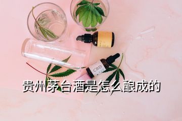 貴州茅臺酒是怎么釀成的