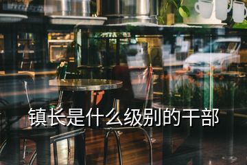 鎮(zhèn)長(zhǎng)是什么級(jí)別的干部