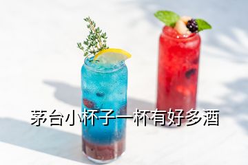 茅臺(tái)小杯子一杯有好多酒