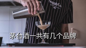 茅臺(tái)酒一共有幾個(gè)品牌