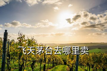 飛天茅臺去哪里賣