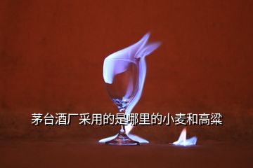 茅臺(tái)酒廠采用的是哪里的小麥和高粱