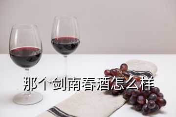 那個劍南春酒怎么樣