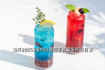 沒(méi)開(kāi)封的53度的白酒瓶子長(zhǎng)霉菌有沒(méi)有事