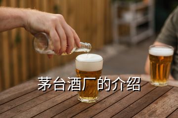 茅臺(tái)酒廠的介紹