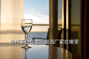 貴州茅臺白金原釀酒廠家在哪里