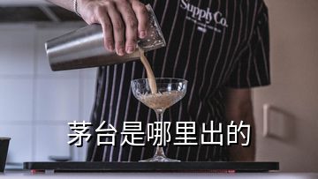 茅臺是哪里出的