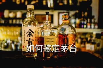 如何鑒定茅臺